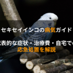 セキセイインコの病気ガイド｜代表的な症状・治療費・自宅での応急処置を解説