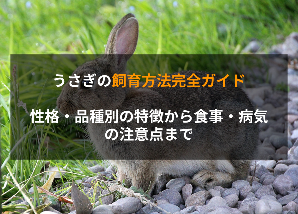 うさぎの飼育方法完全ガイド｜性格・品種別の特徴から食事・病気の注意点まで